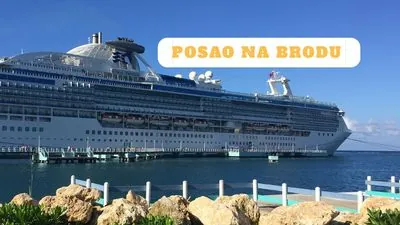 Safe Cruise Agency