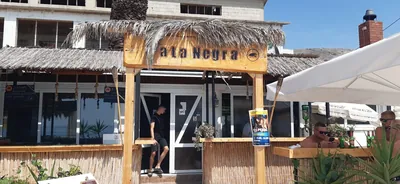 Pata Negra