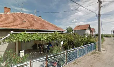 Srdjan S