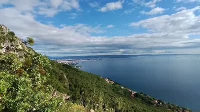 Napoleonica