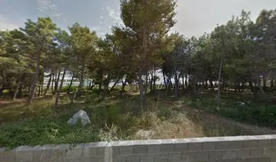Apartman Block Igor