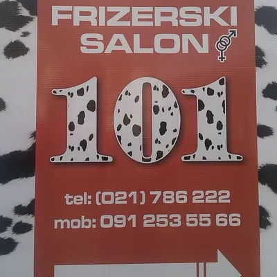 HAIR SALON 101