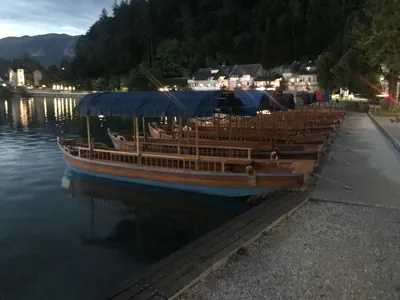 Mlino