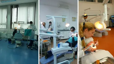 Faculty of Dentistry
