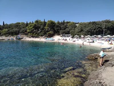 Verudela