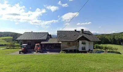 LUKA ŠKULJ s.p., SLIKOPLESKARSTVO IN PARKETARSTVO