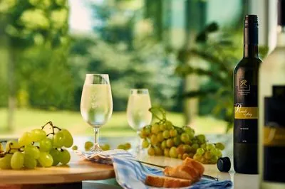 Vinogradništvo Kovačič